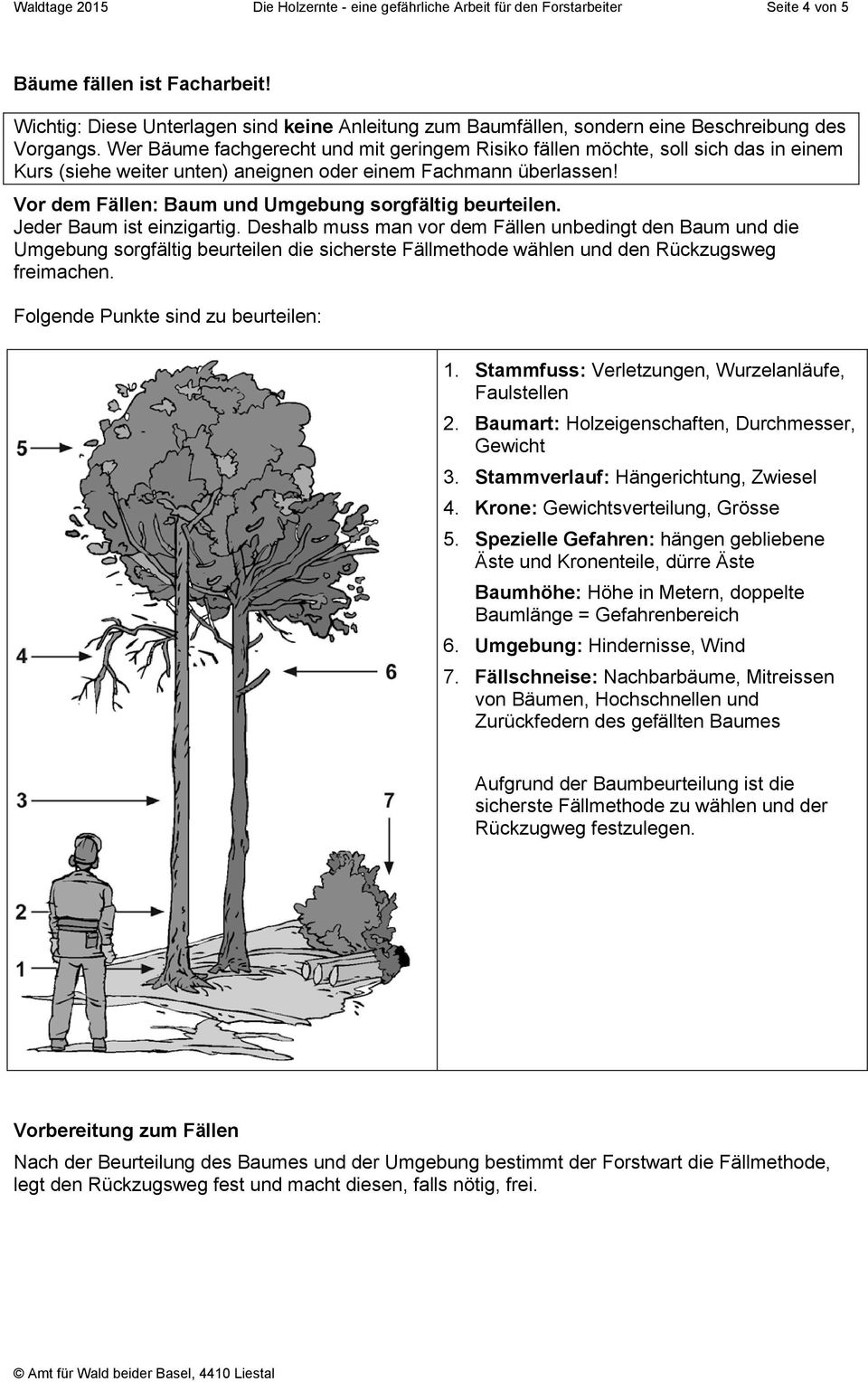 Wer Bäume fachgerecht und mit geringem Risiko fällen möchte, soll sich das in einem Kurs (siehe weiter unten) aneignen oder einem Fachmann überlassen!