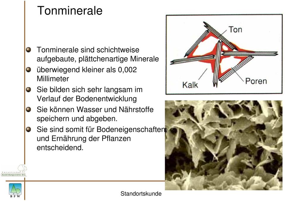 Verlauf der Bodenentwicklung Sie können Wasser und Nährstoffe speichern und