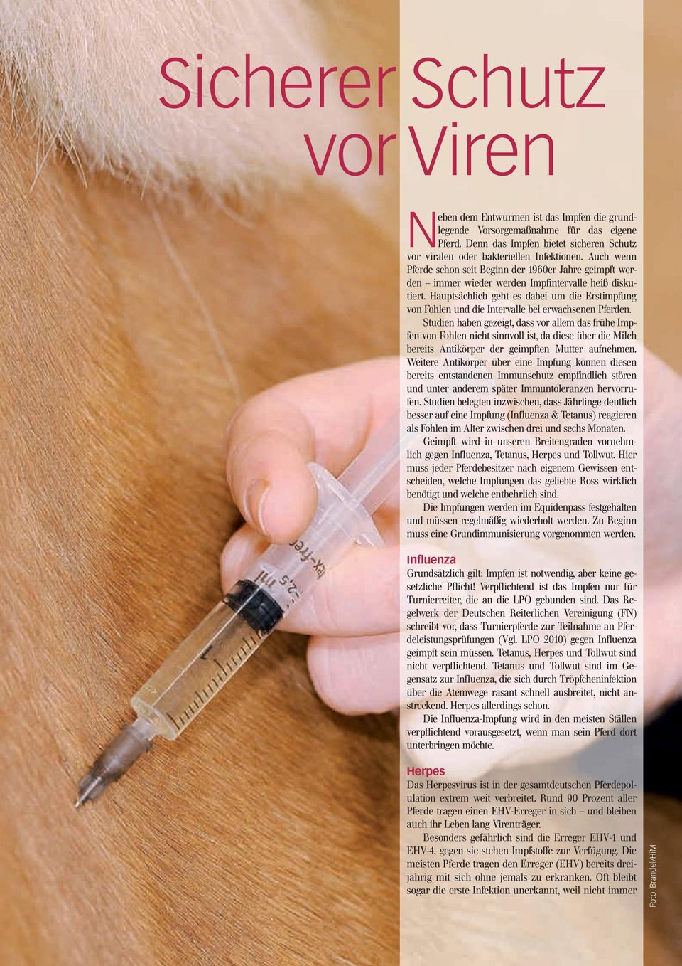 Hauptsächlich geht es dabei um die Erstimpfung von Fohlen und die Intervalle bei erwachsenen Pferden.
