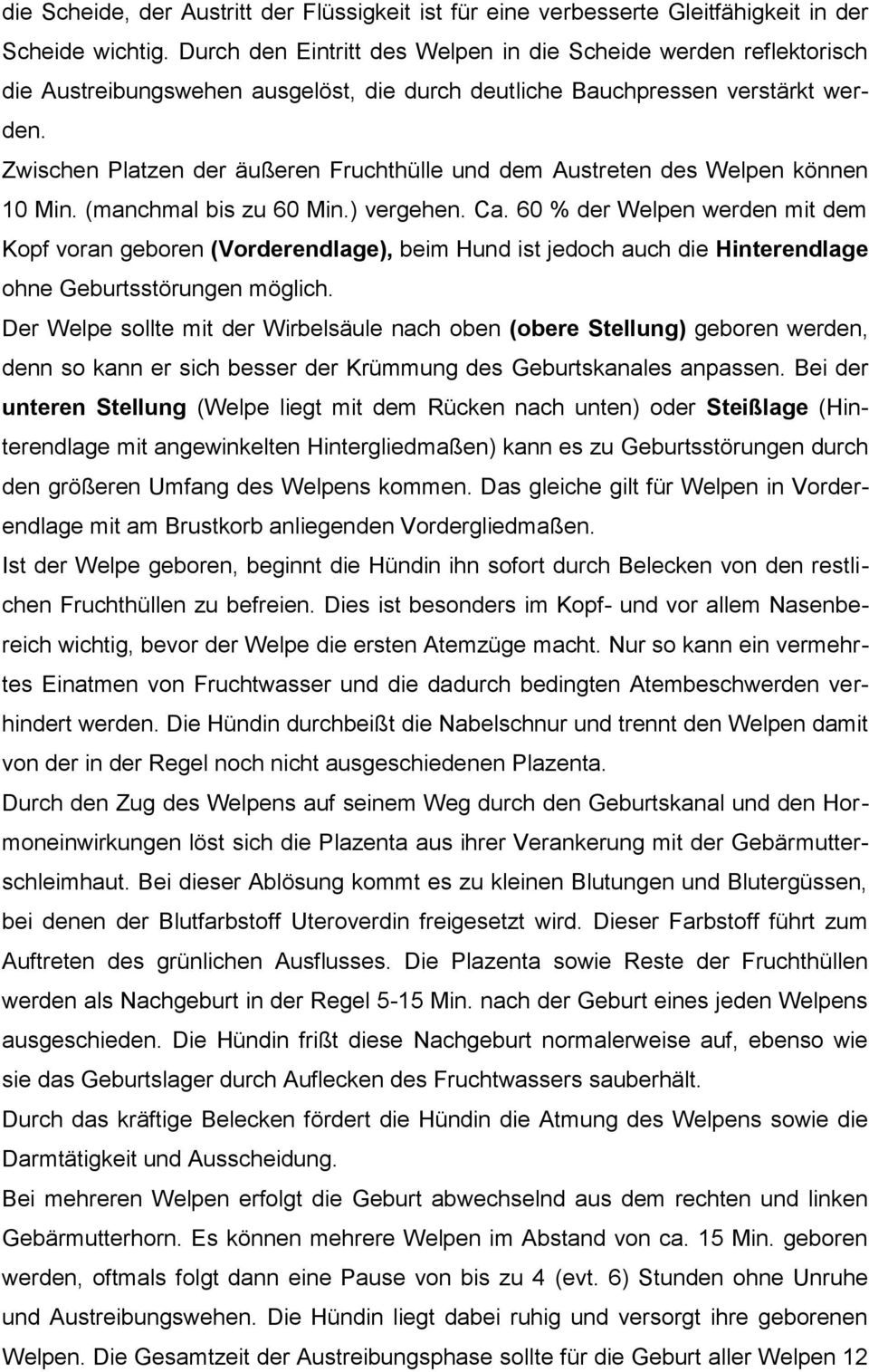 Zwischen Platzen der äußeren Fruchthülle und dem Austreten des Welpen können 10 Min. (manchmal bis zu 60 Min.) vergehen. Ca.