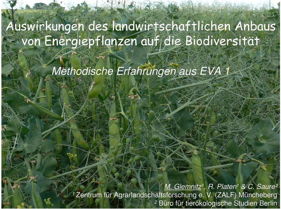 Biodiversität Methodische Erfahrungen aus EVA 1 M. Glemnitz1, R. Platen1 & C.