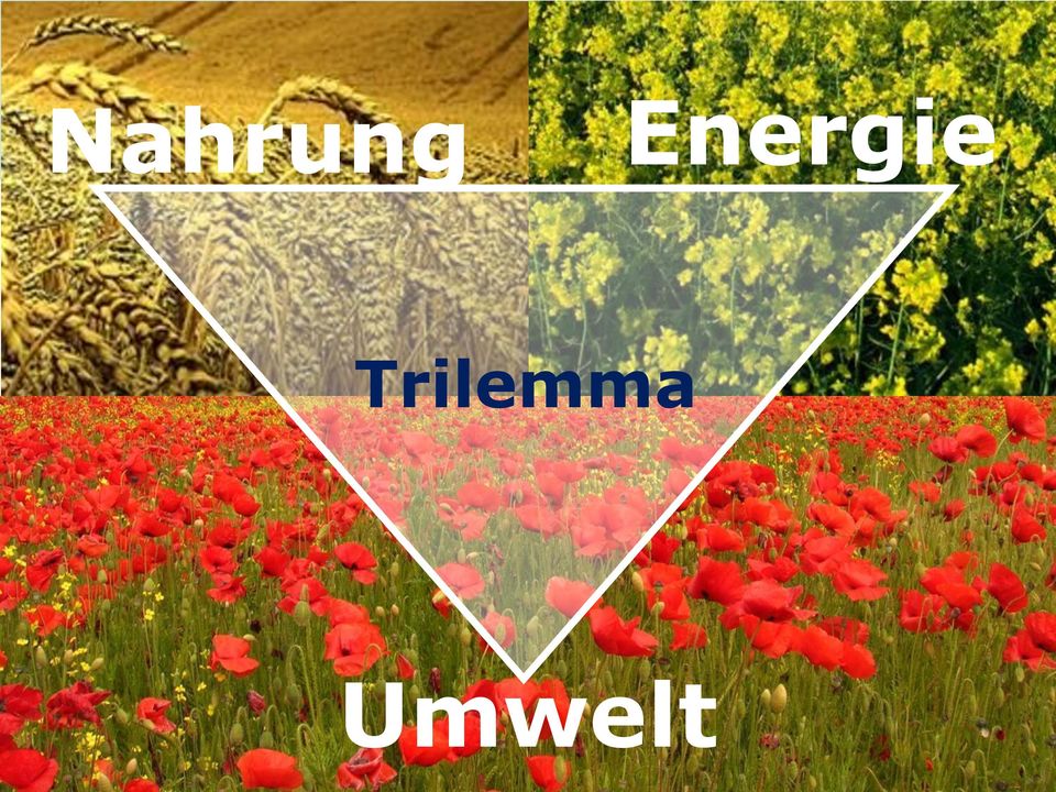 Trilemma
