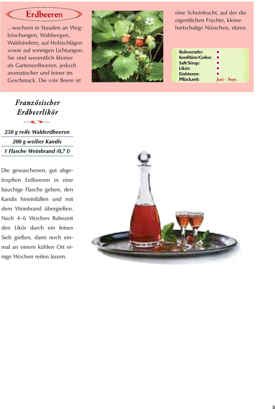 Sept l Französischer Erdbeerlikör 250 g reife Walderdbeeren 200 g weißer Kandis 1 Flasche Weinbrand (0,7 l) Die gewaschenen, gut abgetrpften Erdbeeren in eine bauchige Flasche