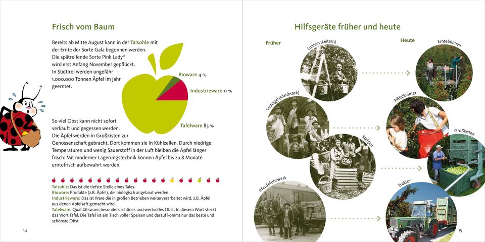 Bioware 4 % Industrieware 11 % Früher Tschaggl (Klaubsack) Loanen (Leitern) Heute Pfllückeimer Erntebühnen So viel Obst kann nicht sofort Tafelware 85 % verkauft und gegessen werden.