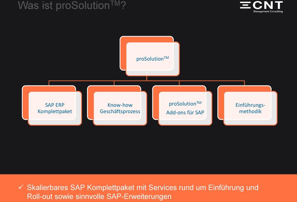 Geschäftsprozess prosolution TM Add-ons für SAP