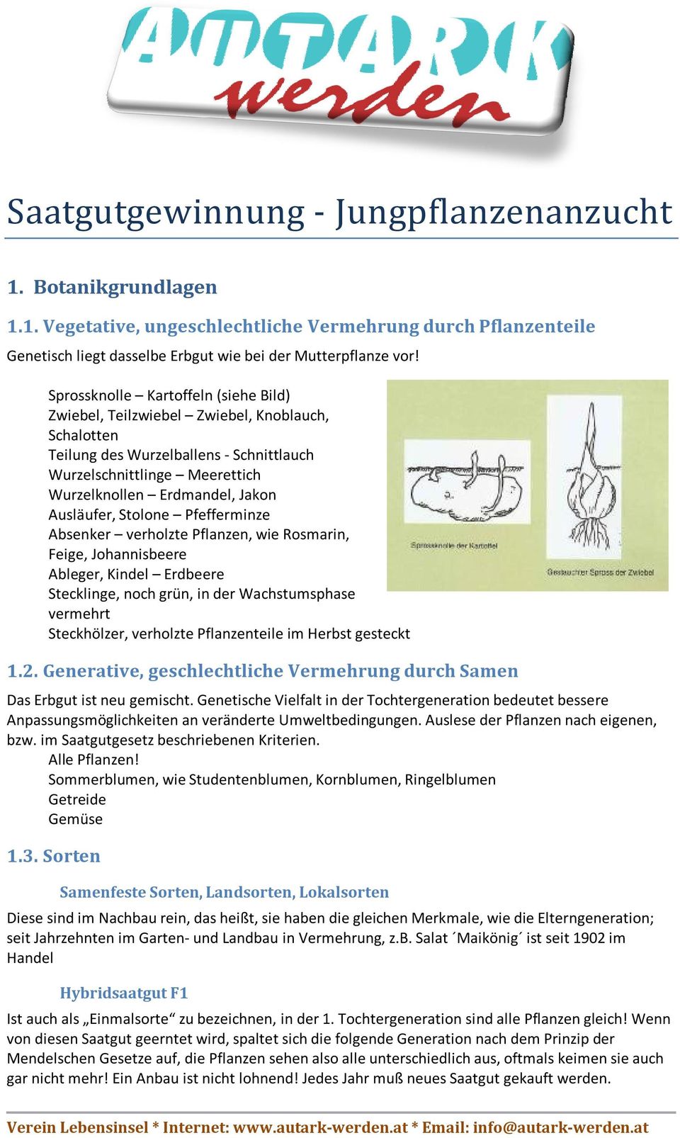 Ausläufer, Stolone Pfefferminze Absenker verholzte Pflanzen, wie Rosmarin, Feige, Johannisbeere Ableger, Kindel Erdbeere Stecklinge, noch grün, in der Wachstumsphase vermehrt Steckhölzer, verholzte