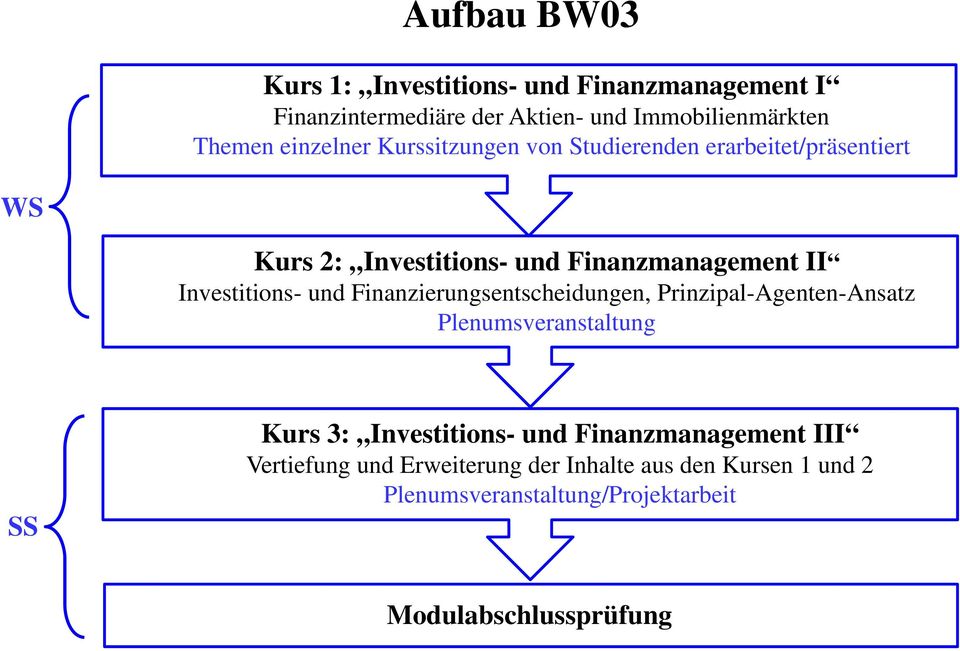 Investitions- und Finanzierungsentscheidungen, Prinzipal-Agenten-Ansatz Plenumsveranstaltung SS Kurs 3: Investitions- und