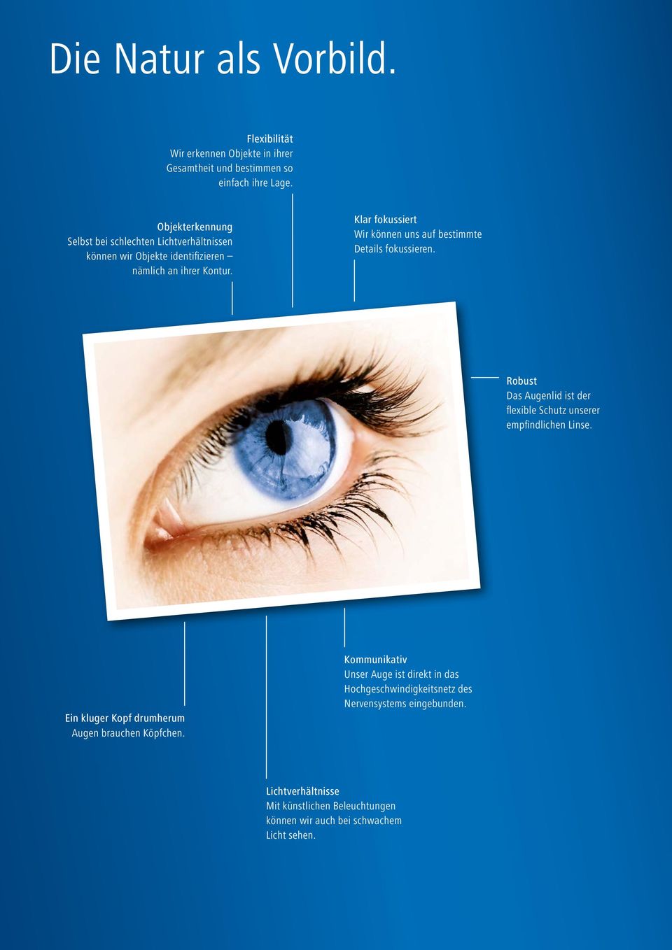 Klar fokussiert Wir können uns auf bestimmte Details fokussieren. Robust Das Augenlid ist der flexible Schutz unserer empfindlichen Linse.