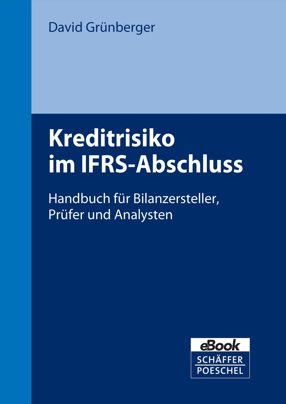 IFRS-Abschluss Handbuch