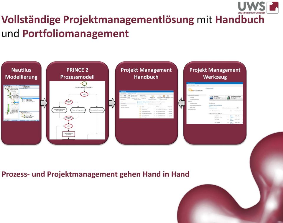 Prozessmodell Projekt Management Handbuch Projekt