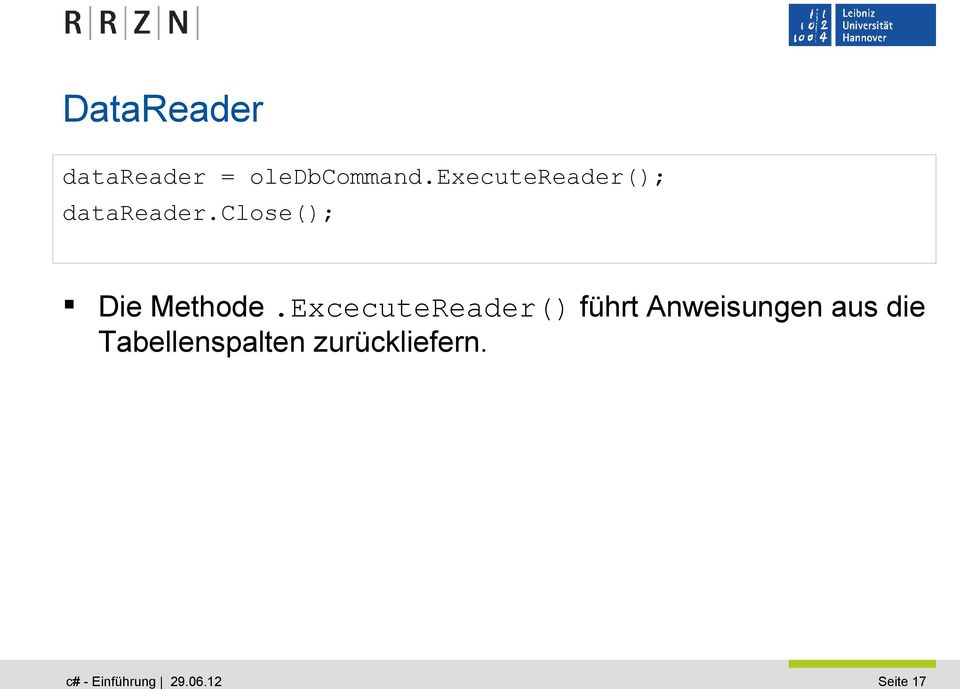 ExcecuteReader() führt Anweisungen aus die