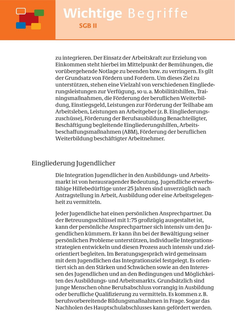 Mobilitätshilfen, Trainingsmaßnahmen, die Förderung der beruflichen Weiterbildung, Einstiegsgeld, Leistungen zur Förderung der Teilhabe am Arbeitsleben, Leistungen an Arbeitgeber (z. B.