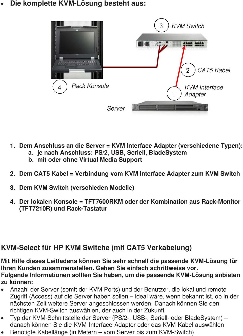Dem KVM Switch (verschieden Modelle) 4.