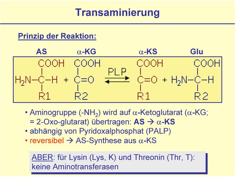 abhängig von Pyridoxalphosphat (PALP) reversibel AS-Synthese aus α-ks