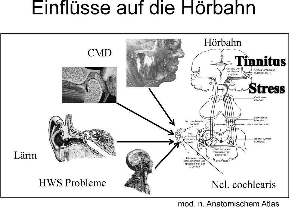 HWS Probleme Ncl.