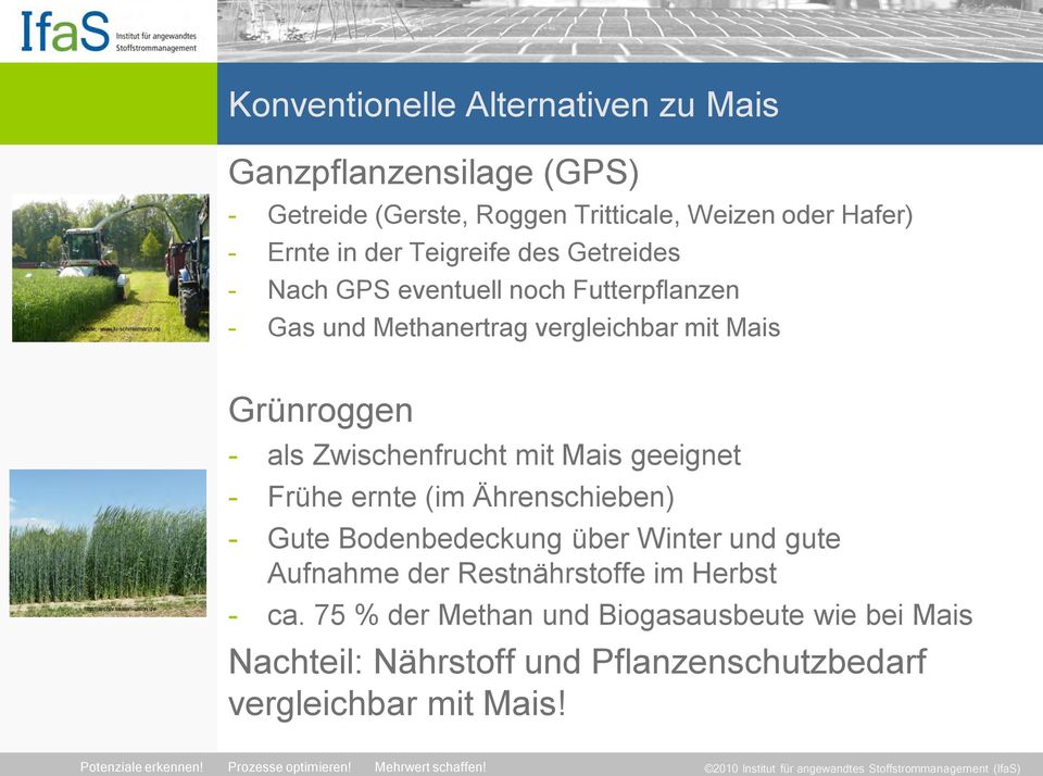 noch Futterpflanzen - Gas und Methanertrag vergleichbar mit Mais http://archiv.saaten-union.