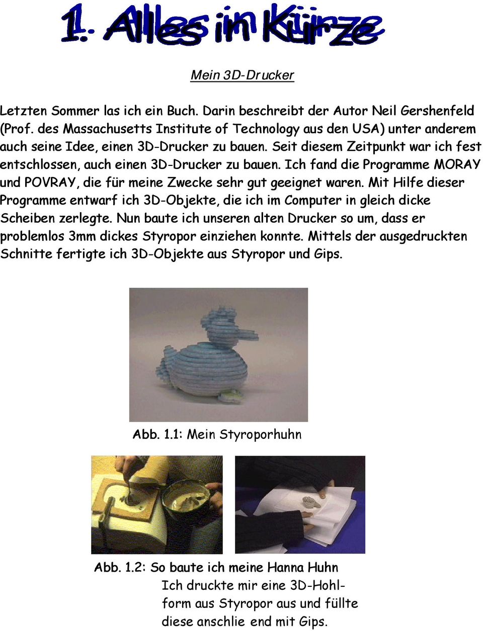 Ich fand die Programme MORAY und POVRAY, die für meine Zwecke sehr gut geeignet waren. Mit Hilfe dieser Programme entwarf ich 3D-Objekte, die ich im Computer in gleich dicke Scheiben zerlegte.