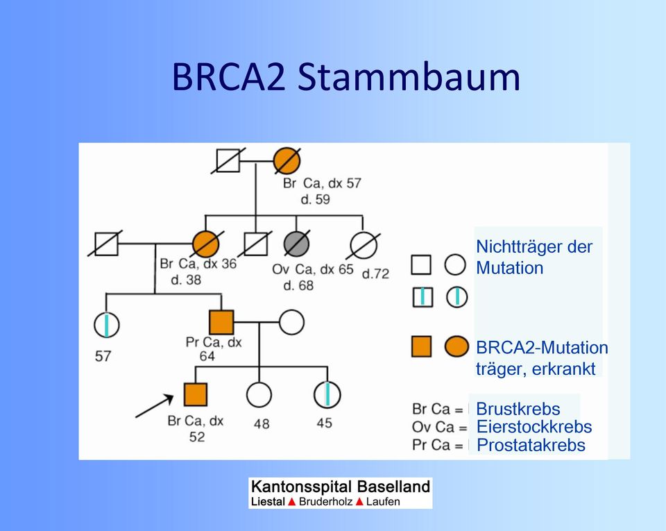 BRCA2-Mutationsträger, gesund