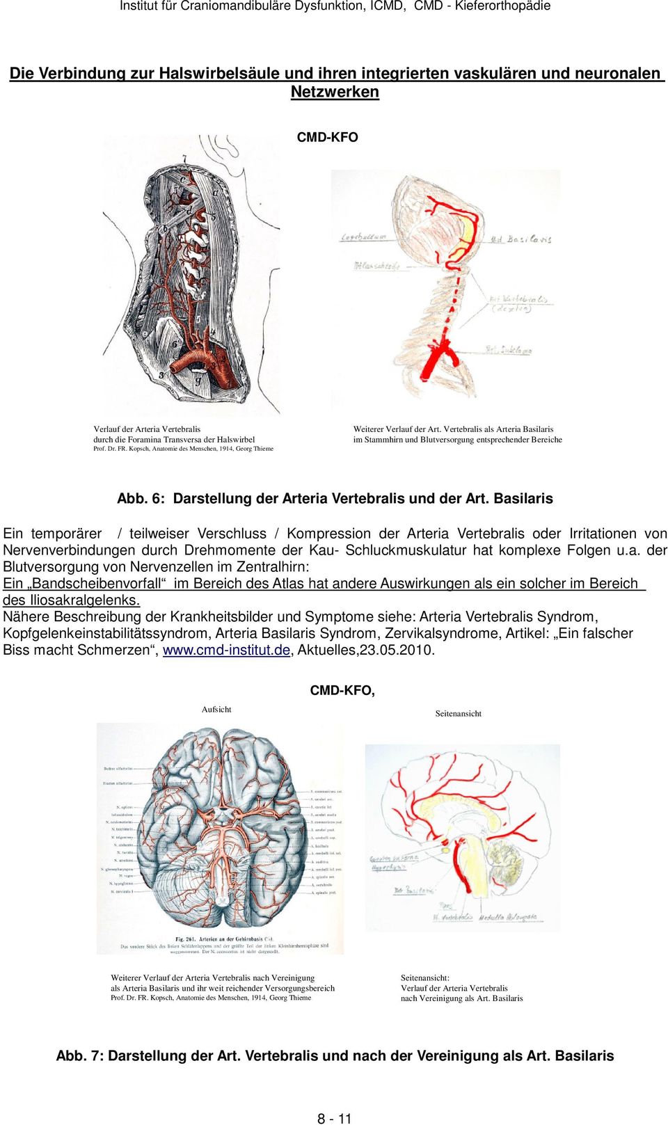 6: Darstellung der Arteria Vertebralis und der Art.