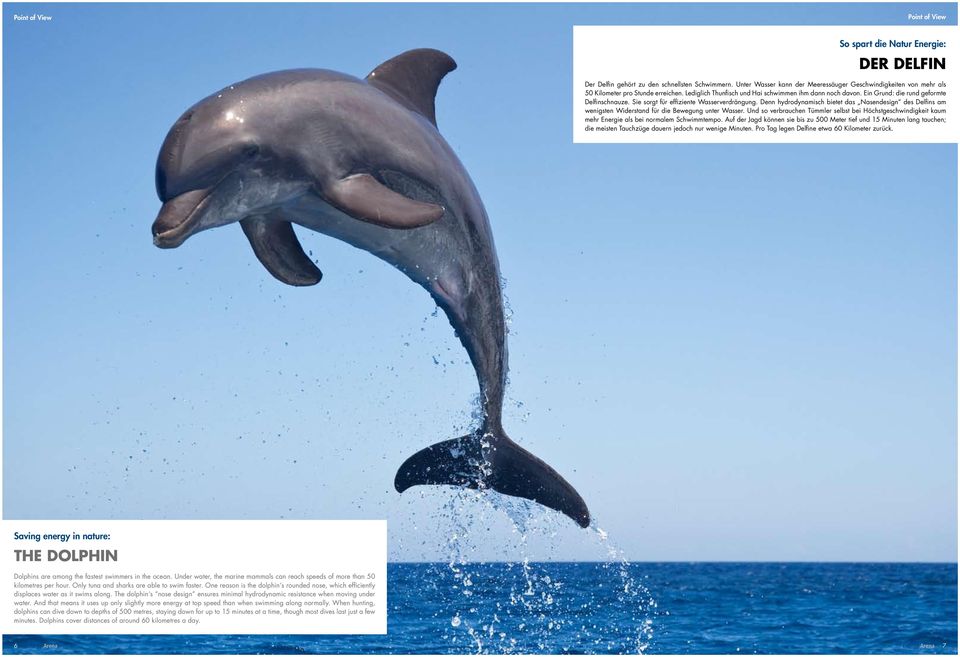 Ein Grund: die rund geformte Delfinschnauze. Sie sorgt für effiziente Wasserverdrängung. Denn hydrodynamisch bietet das Nasendesign des Delfins am wenigsten Widerstand für die Bewegung unter Wasser.