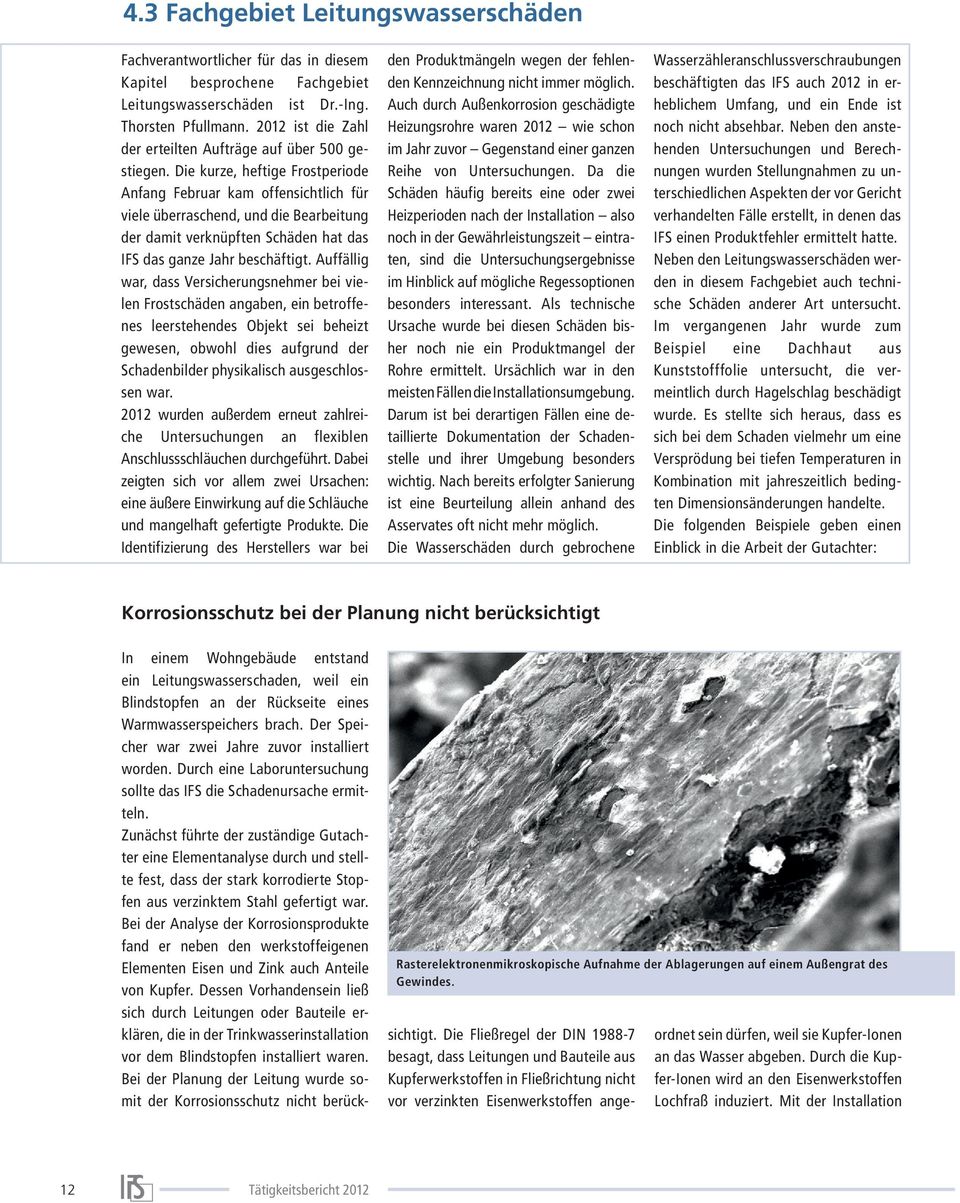 Die kurze, heftige Frostperiode Anfang Februar kam offensichtlich für viele überraschend, und die Bearbeitung der damit verknüpften Schäden hat das IFS das ganze Jahr beschäftigt.