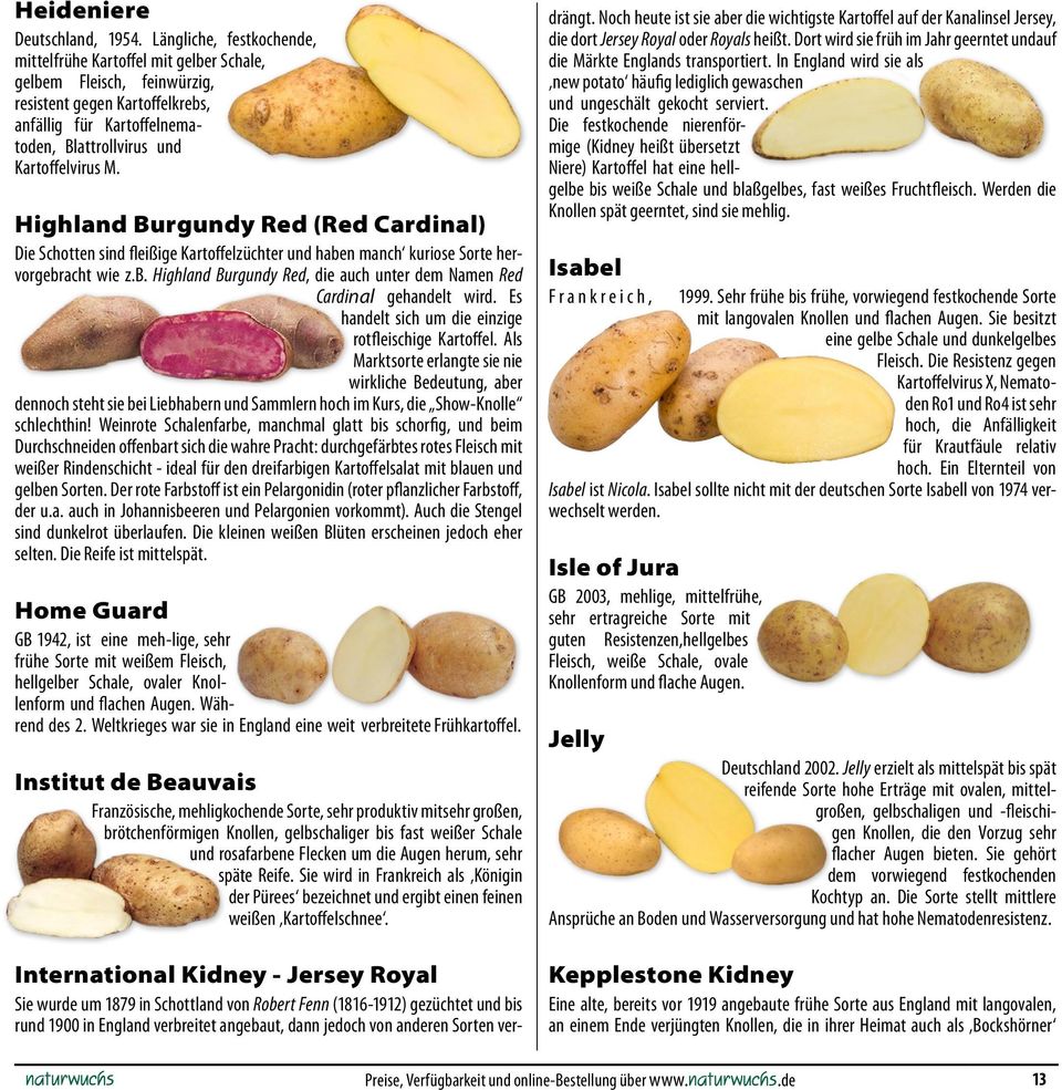 Highland Burgundy Red (Red Cardinal) Die Schotten sind fleißige Kartoffelzüchter und haben manch kuriose Sorte hervorgebracht wie z.b. Highland Burgundy Red, die auch unter dem Namen Red Cardinal gehandelt wird.