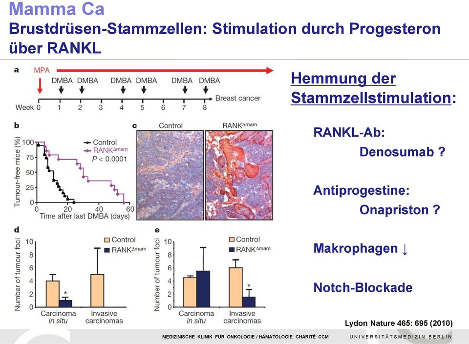 Stammzellstimulation: RANKL-Ab: Denosumab?