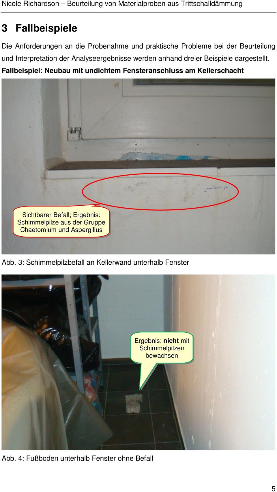Fallbeispiel: Neubau mit undichtem Fensteranschluss am Kellerschacht Sichtbarer Befall; Ergebnis: Schimmelpilze aus der