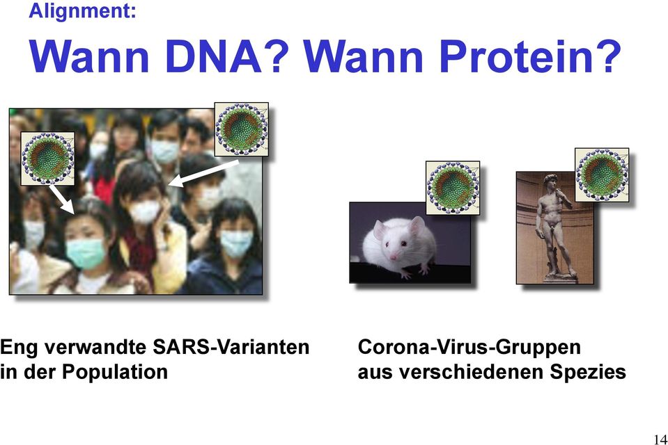 Eng verwandte SARS-Varianten in