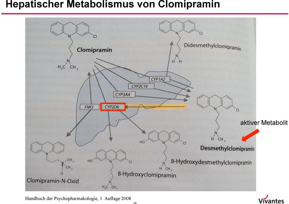 Metabolit Handbuch der
