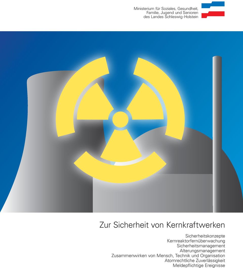 Kernreaktorfernüberwachung Sicherheitsmanagement Alterungsmanagement