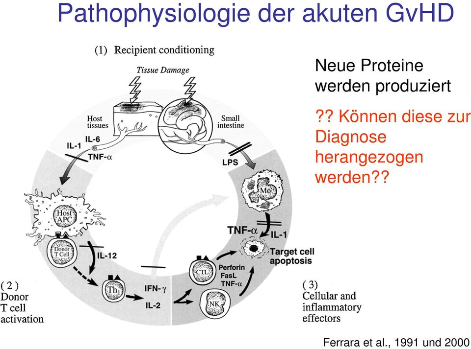 ? Können diese zur Diagnose