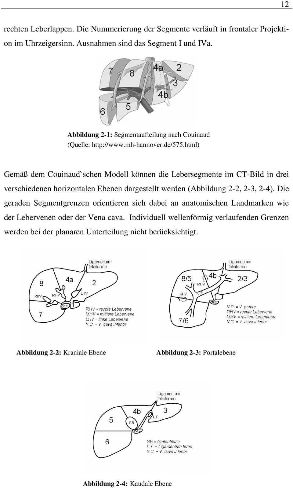 html) Gemäß dem Couinaud`schen Modell können die Lebersegmente im CT-Bild in drei verschiedenen horizontalen Ebenen dargestellt werden (Abbildung 2-2, 2-3, 2-4).