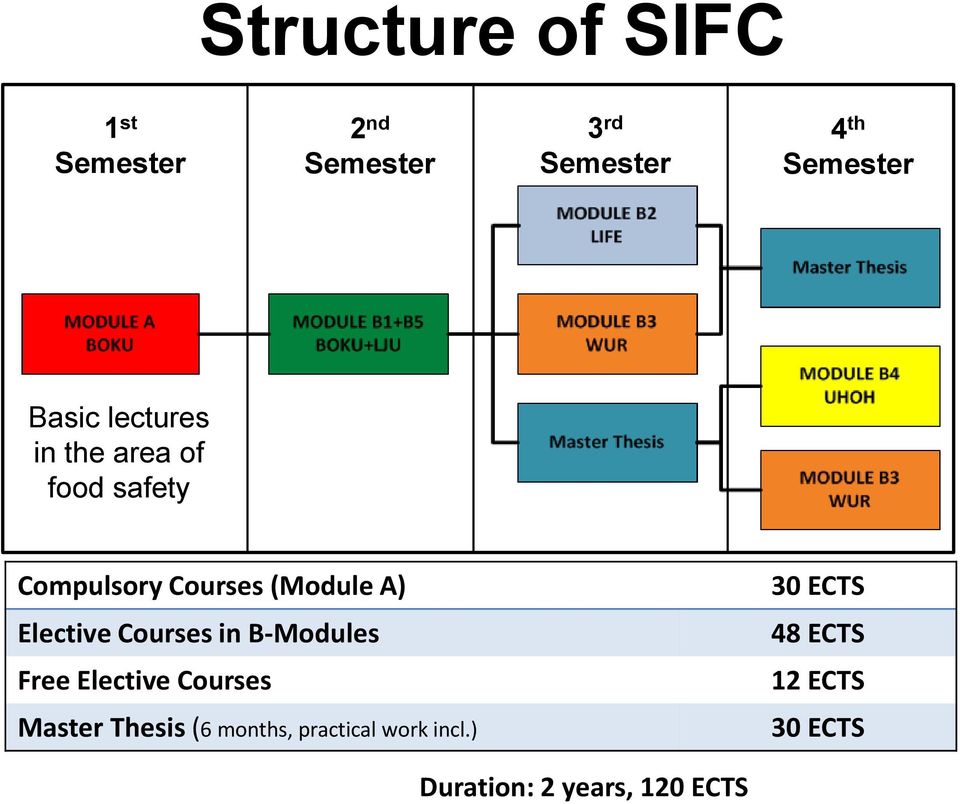 Elective Courses in B-Modules Free Elective Courses Master Thesis (6