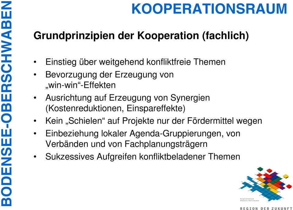 Einspareffekte) Kein Schielen auf Projekte nur der Fördermittel wegen Einbeziehung lokaler