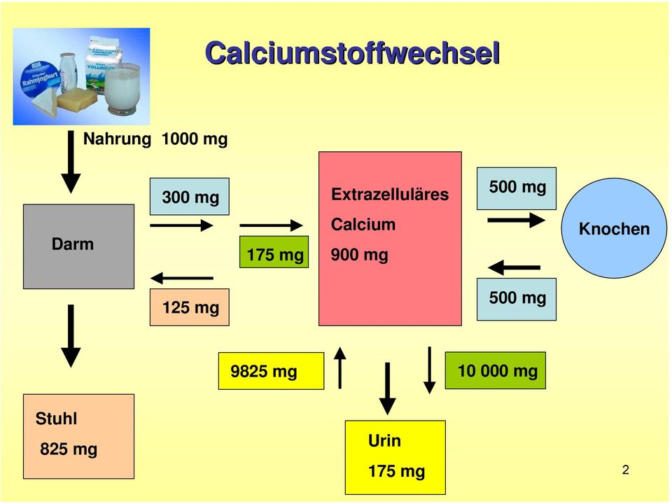 Calcium 900 mg Knochen 125 mg 500 mg