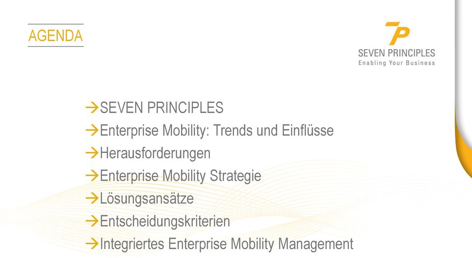 Enterprise Mobility Strategie Lösungsansätze