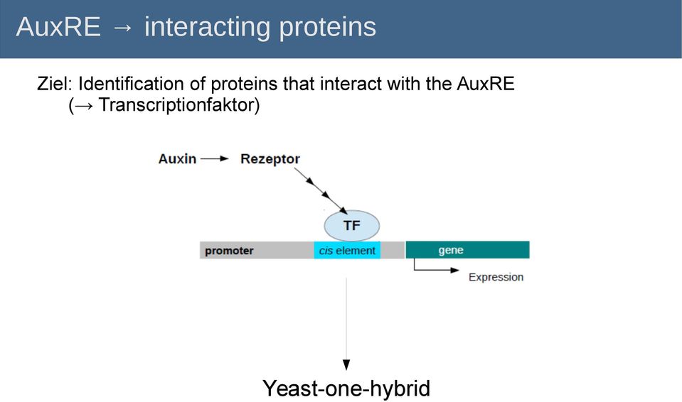 proteins that interact with the
