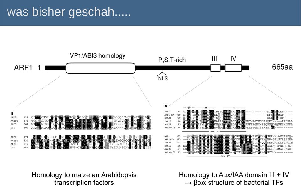 Arabidopsis transcription factors