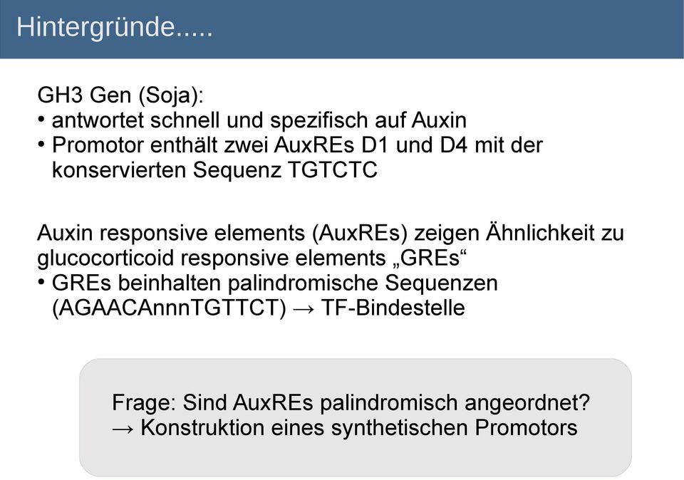 mit der konservierten Sequenz TGTCTC Auxin responsive elements (AuxREs) zeigen Ähnlichkeit zu