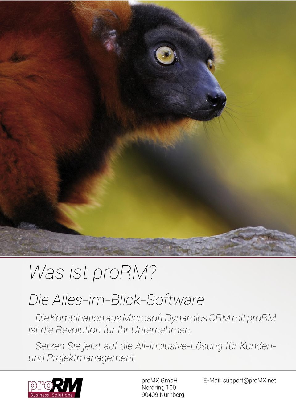 Microsoft Dynamics CRM mit prorm ist die Revolution fur Ihr Unternehmen.