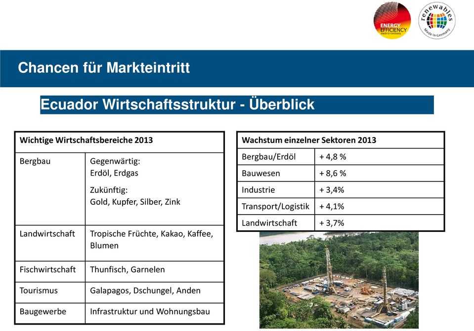 Blumen Wachstum einzelner Sektoren 2013 Bergbau/Erdöl + 4,8 % Bauwesen + 8,6 % Industrie + 3,4% Transport/Logistik +