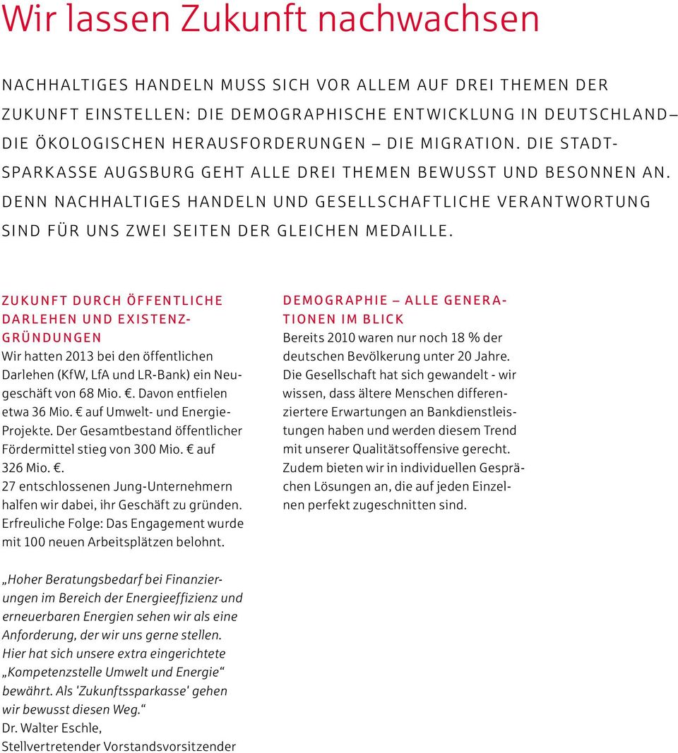 ZUKUNFT DURCH ÖFFENTLICHE DARLEHEN UND EXISTENZ- GRÜNDUNGEN Wir hatten 2013 bei den öffentlichen Darlehen (KfW, LfA und LR-Bank) ein Neugeschäft von 68 Mio.. Davon entfielen etwa 36 Mio.