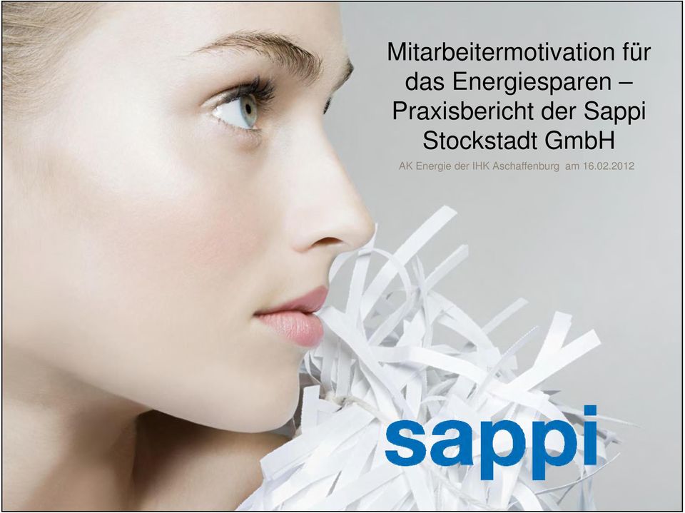 Sappi Stockstadt GmbH AK Energie
