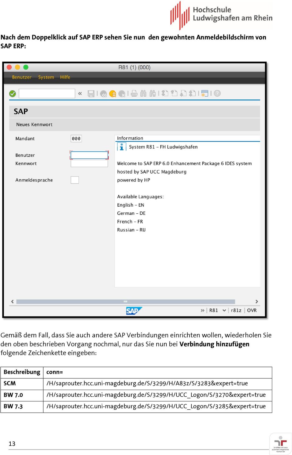 folgende Zeichenkette eingeben: Beschreibung SCM BW 7.0 BW 7.3 conn= /H/saprouter.hcc.uni-magdeburg.