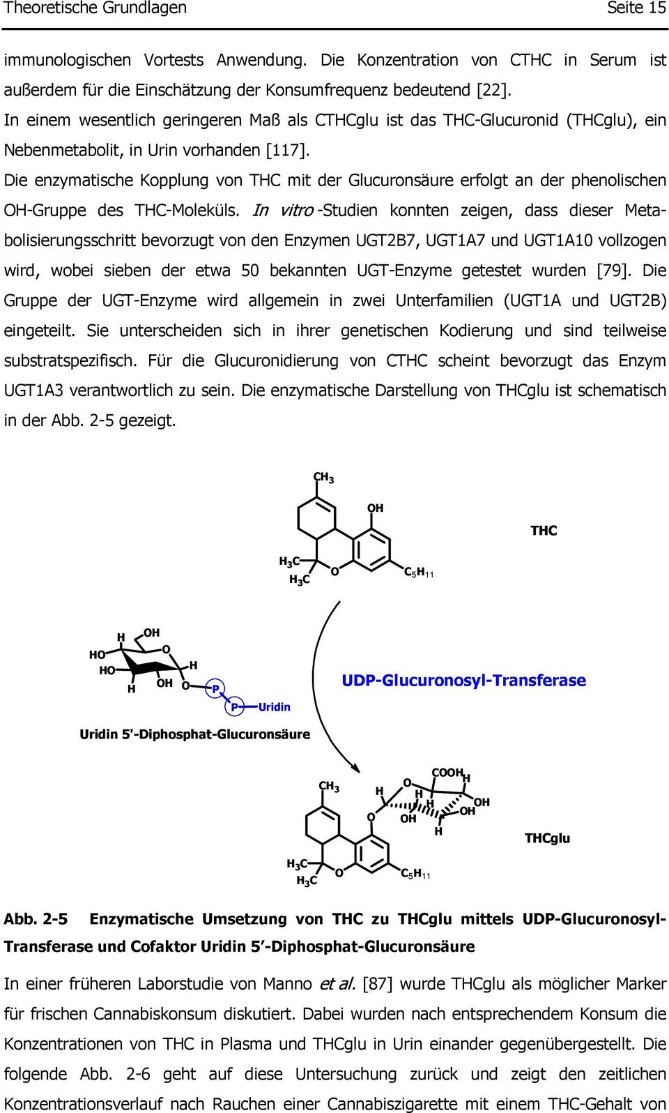 Die enzymatische Kopplung von THC mit der Glucuronsäure erfolgt an der phenolischen OH-Gruppe des THC-Moleküls.