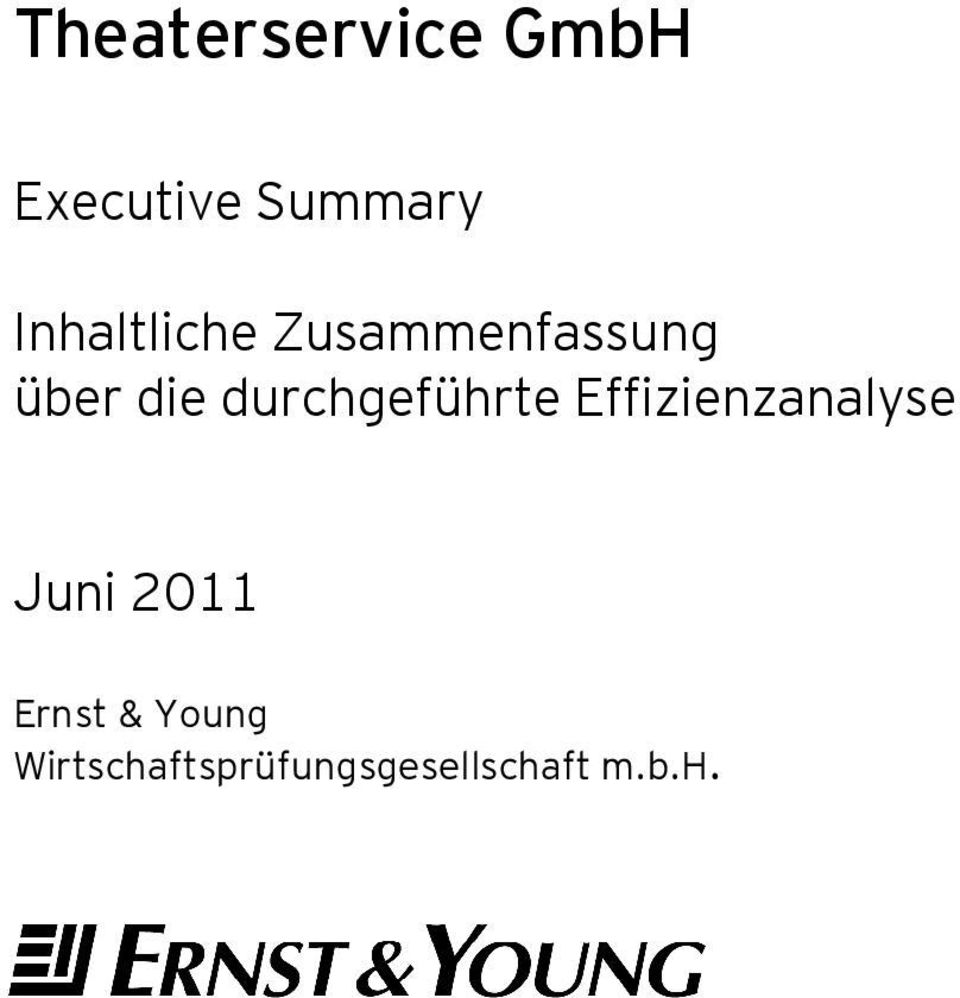 durchgeführte Effizienzanalyse Juni 2011