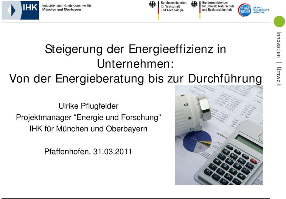 Ulrike Pflugfelder Projektmanager Energie und