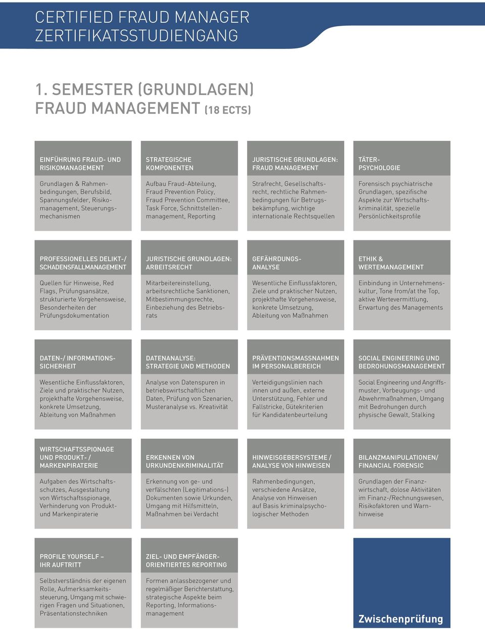 Rahmenbedingungen, Berufsbild, Spannungsfelder, Risikomanagement, Steuerungsmechanismen Aufbau Fraud-Abteilung, Fraud Prevention Policy, Fraud Prevention Committee, Task Force,