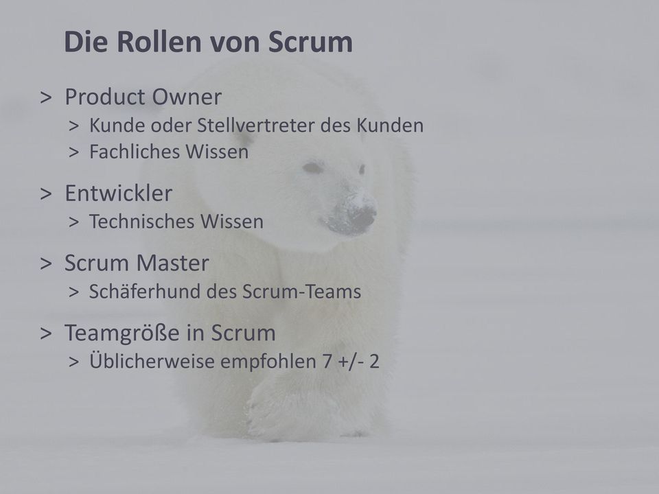 Entwickler > Technisches Wissen > Scrum Master >